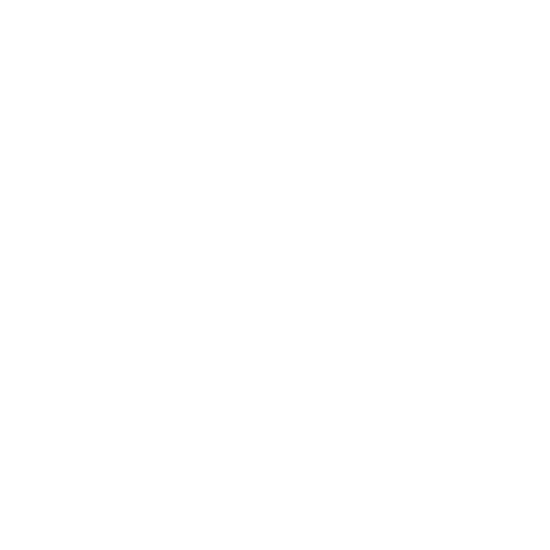 Anima Wings
